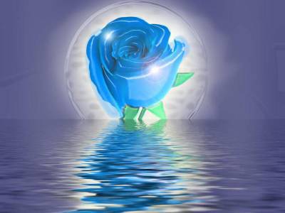 hamid05.viup-blog.com